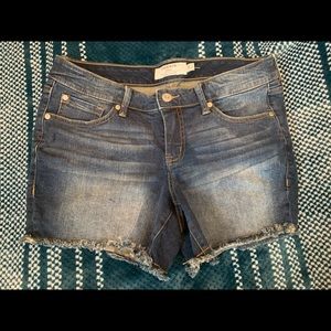 Torrid Women’s denim